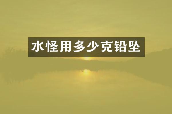 水怪用多少克铅坠
