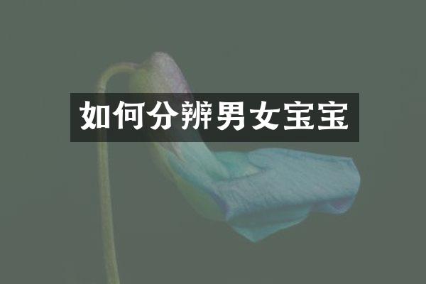 如何分辨男女宝宝