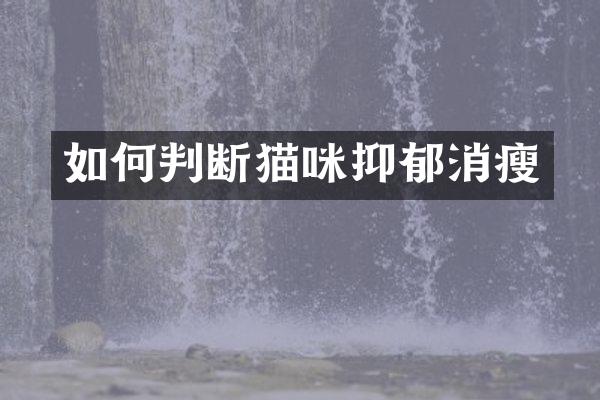 如何判断猫咪抑郁消瘦