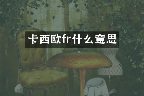 卡西欧fr什么意思
