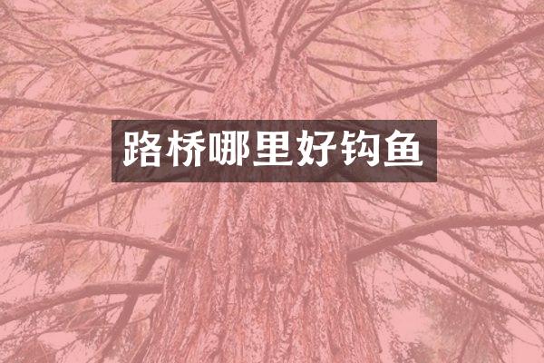 路桥哪里好钩鱼