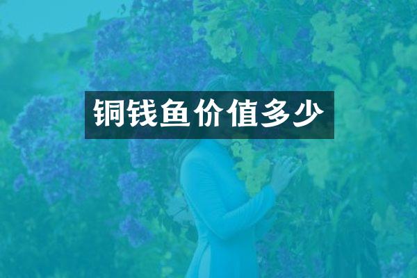 铜钱鱼价值多少
