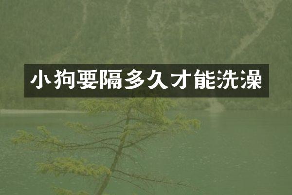 小狗要隔多久才能洗澡