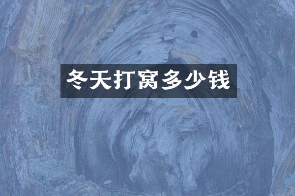 冬天打窝多少钱
