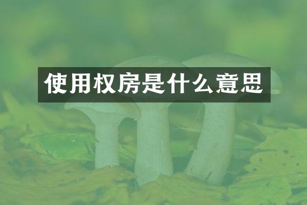 使用权房是什么意思