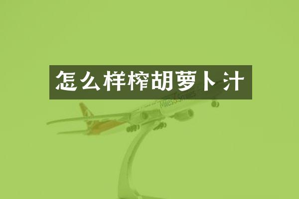 怎么样榨胡萝卜汁
