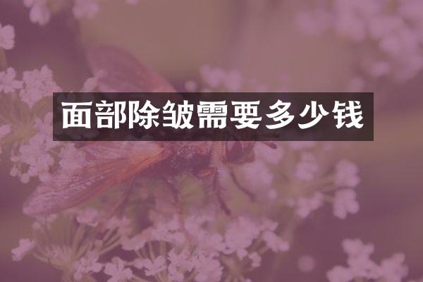 面部除皱需要多少钱