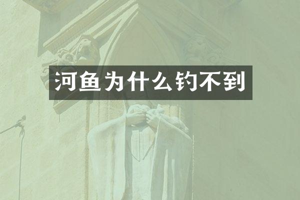 河鱼为什么钓不到