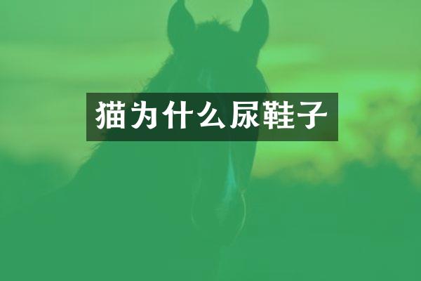 猫为什么尿鞋子