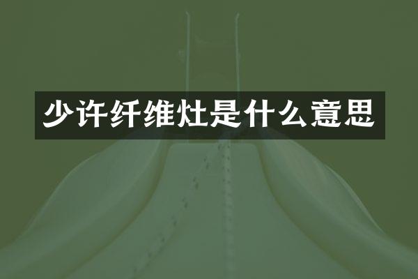 少许纤维灶是什么意思