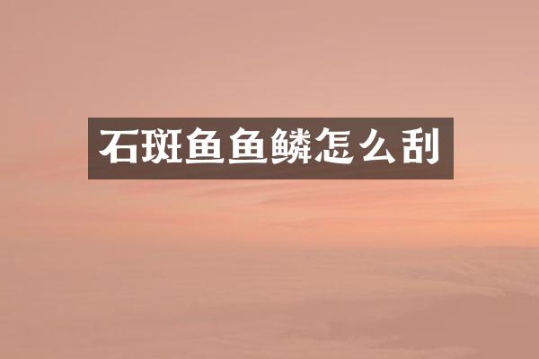 石斑鱼鱼鳞怎么刮