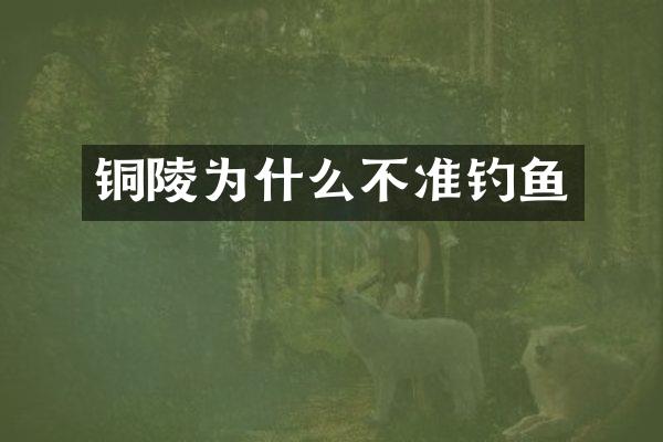 铜陵为什么不准钓鱼