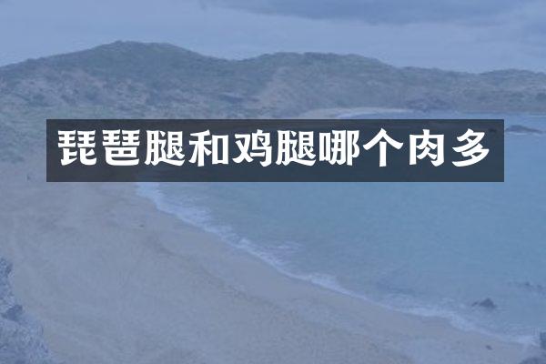 琵琶腿和鸡腿哪个肉多