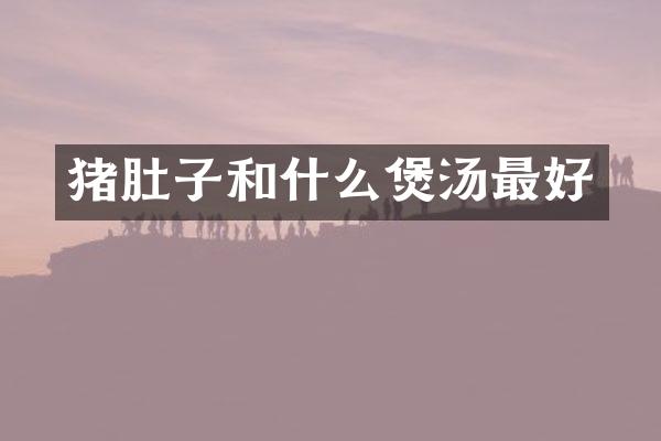 猪肚子和什么煲汤最好