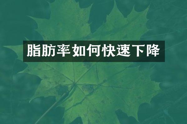 脂肪率如何快速下降