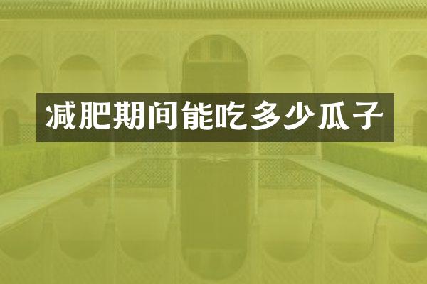 减肥期间能吃多少瓜子