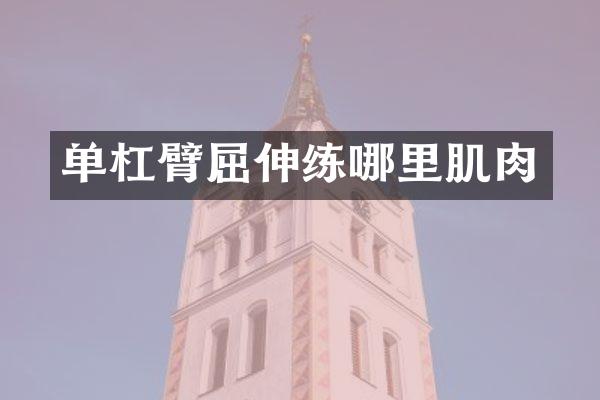 单杠臂屈伸练哪里肌肉