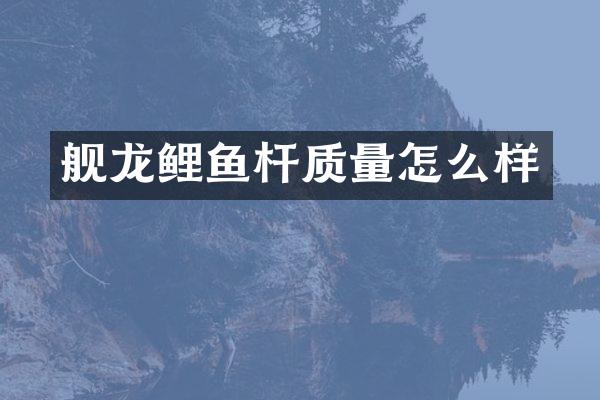 舰龙鲤鱼杆质量怎么样