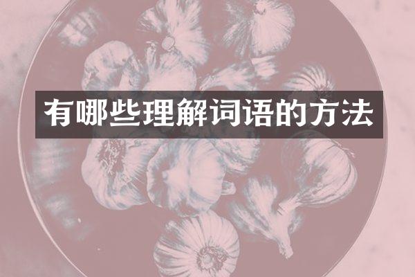 有哪些理解词语的方法