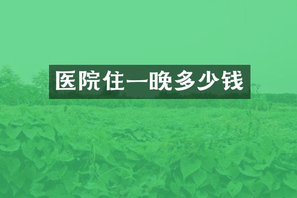 医院住一晚多少钱