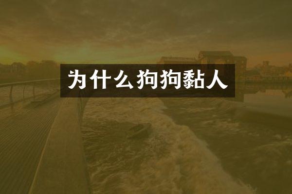 为什么狗狗黏人