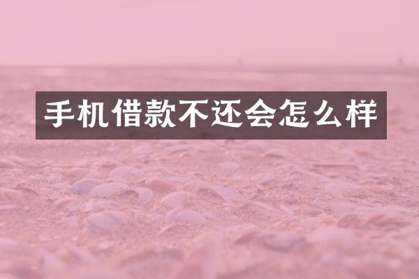 手机借款不还会怎么样