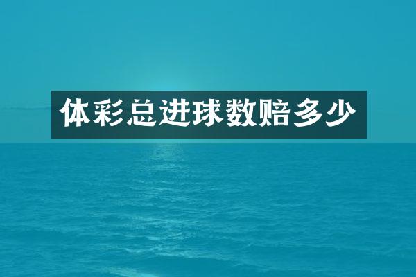 体彩总进球数赔多少