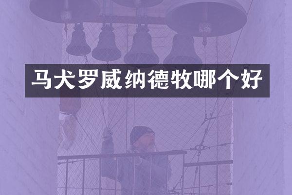 马犬罗威纳德牧哪个好