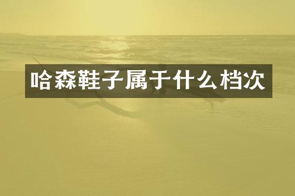 哈森鞋子属于什么档次