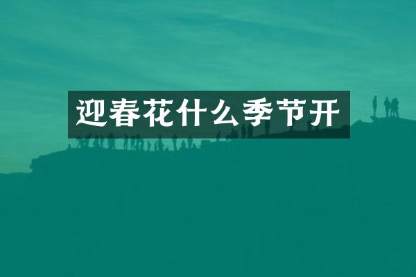 迎春花什么季节开