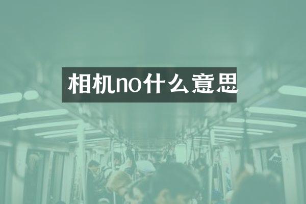 相机no什么意思