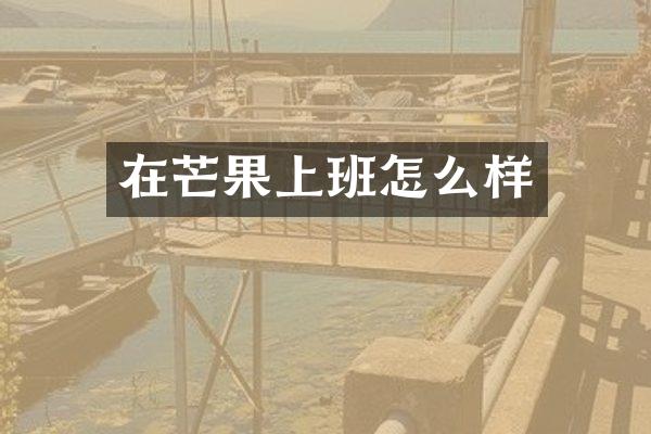 在芒果上班怎么样