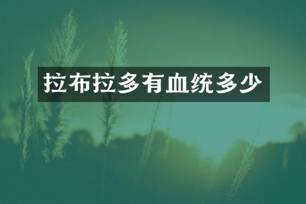 拉布拉多有血统多少