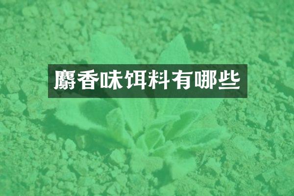 麝香味饵料有哪些