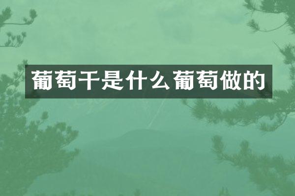 葡萄干是什么葡萄做的