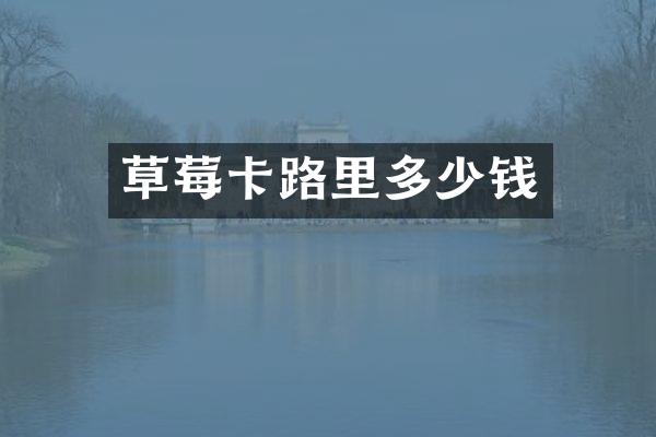 草莓卡路里多少钱