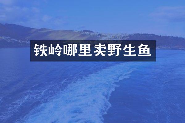 铁岭哪里卖野生鱼
