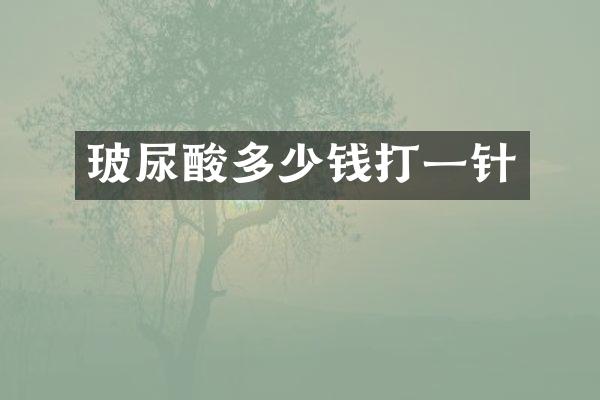 玻尿酸多少钱打一针