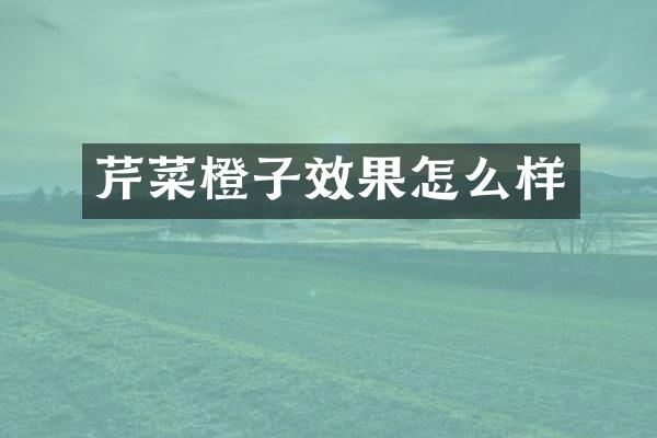 芹菜橙子效果怎么样