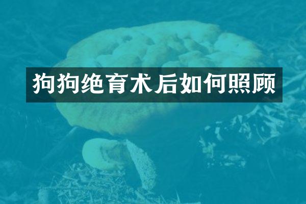 狗狗绝育术后如何照顾