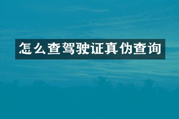 怎么查驾驶证真伪查询