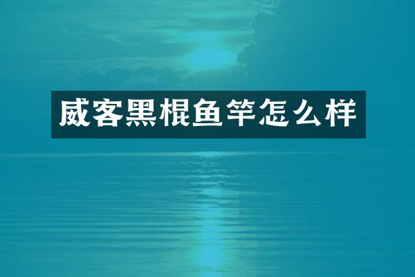威客黑棍鱼竿怎么样