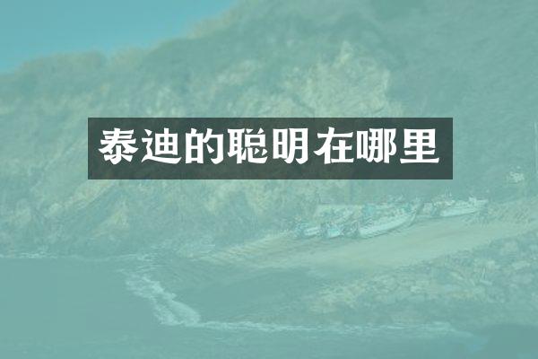 泰迪的聪明在哪里