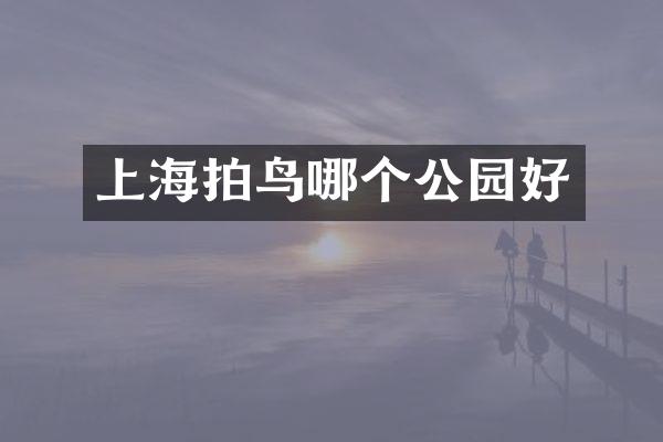 上海拍鸟哪个公园好