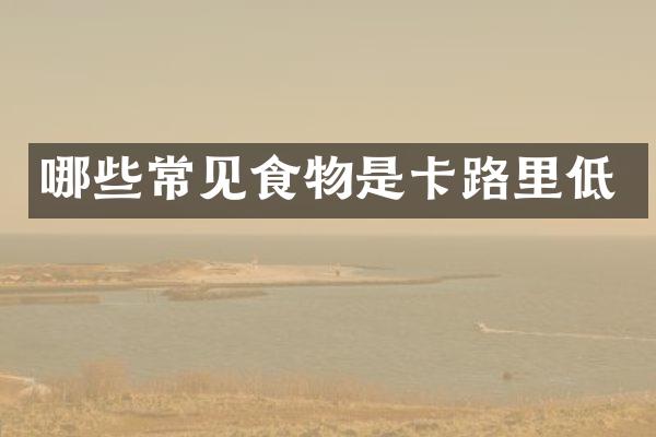 哪些常见食物是卡路里低