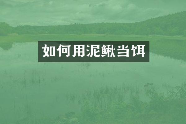 如何用泥鳅当饵