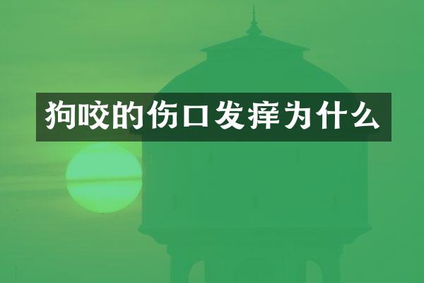 狗咬的伤口发痒为什么