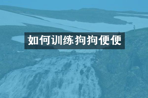 如何训练狗狗便便