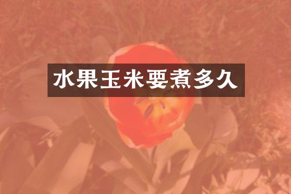 水果玉米要煮多久