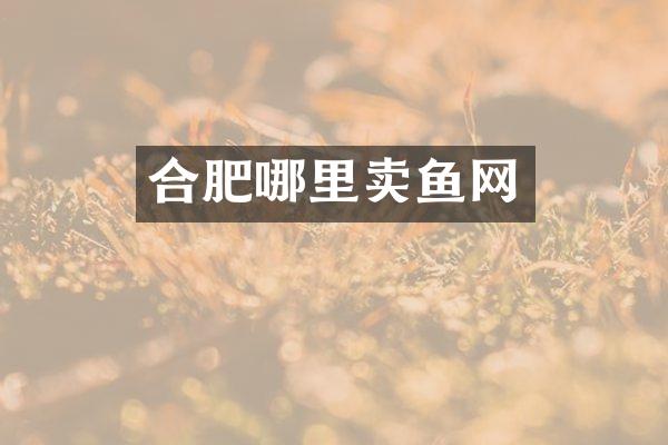 合肥哪里卖鱼网